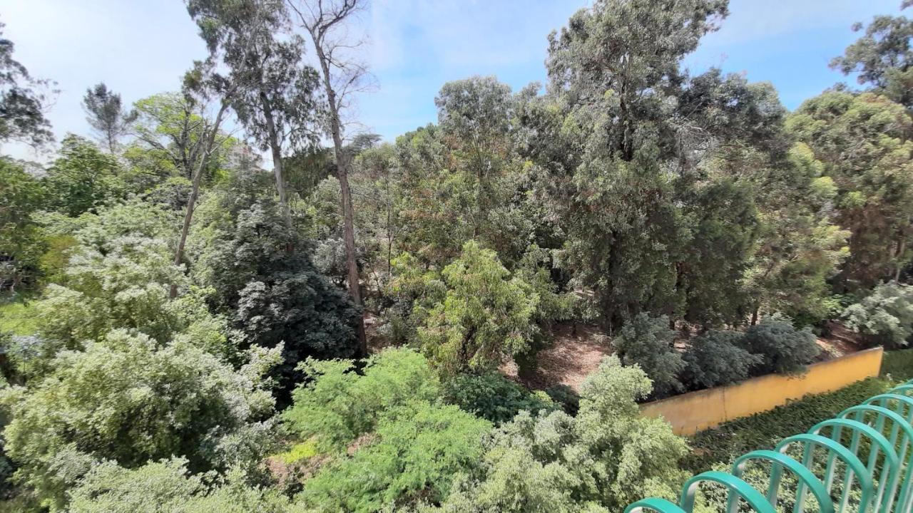 Forest View Lisboa Eksteriør billede